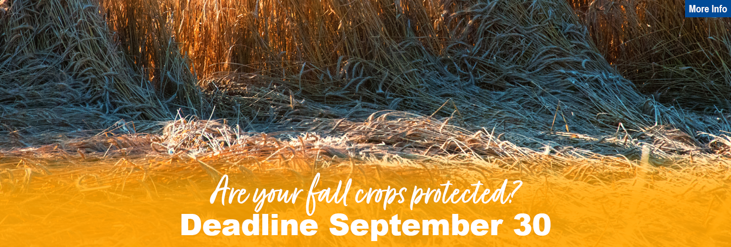 Are your fall crops protected? Deadline September 30