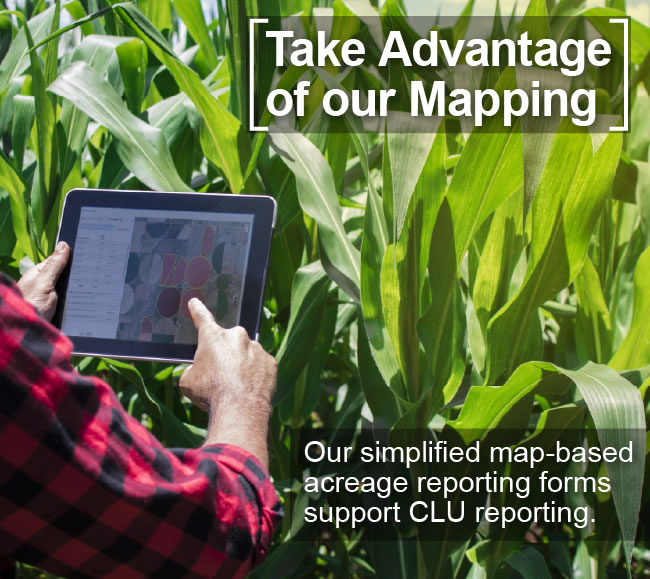Take Advantage of our Mapping: Our simplified map-based acreage reporting forms support CLU reporting.