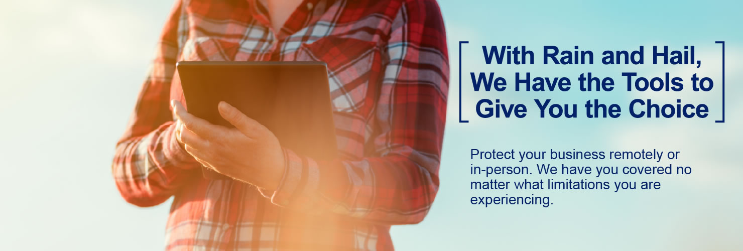 Rain And Hail Insurance Service Home Rain and Hail