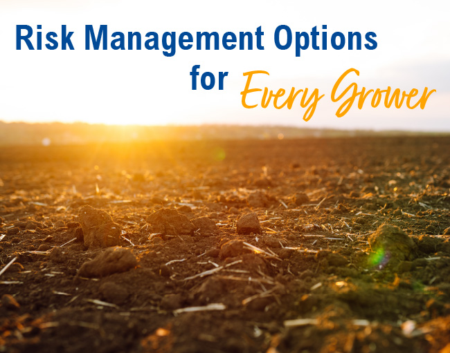 Risk Management Options for Every Grower