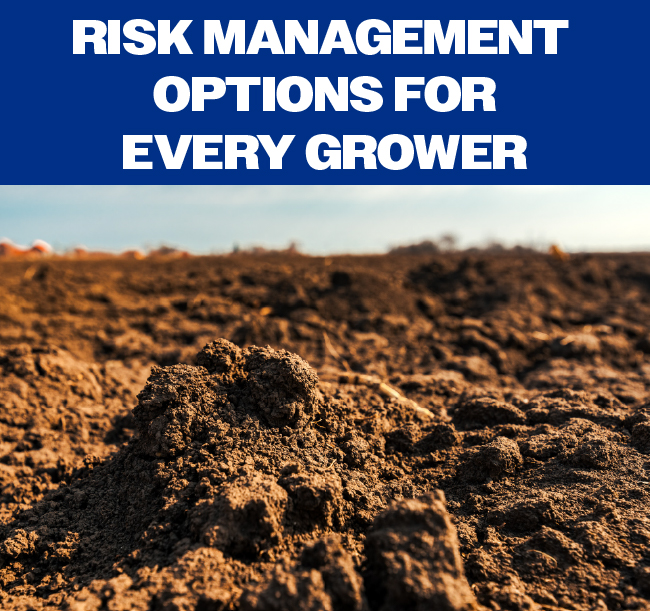 Risk Management Options for Every Grower