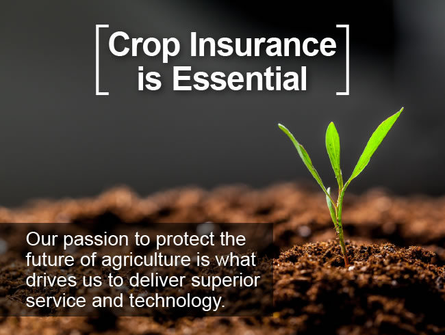 Crop Insurance is Essential: Our passion to protect the future of agriculture is what drives us to deliver superior service and technology.